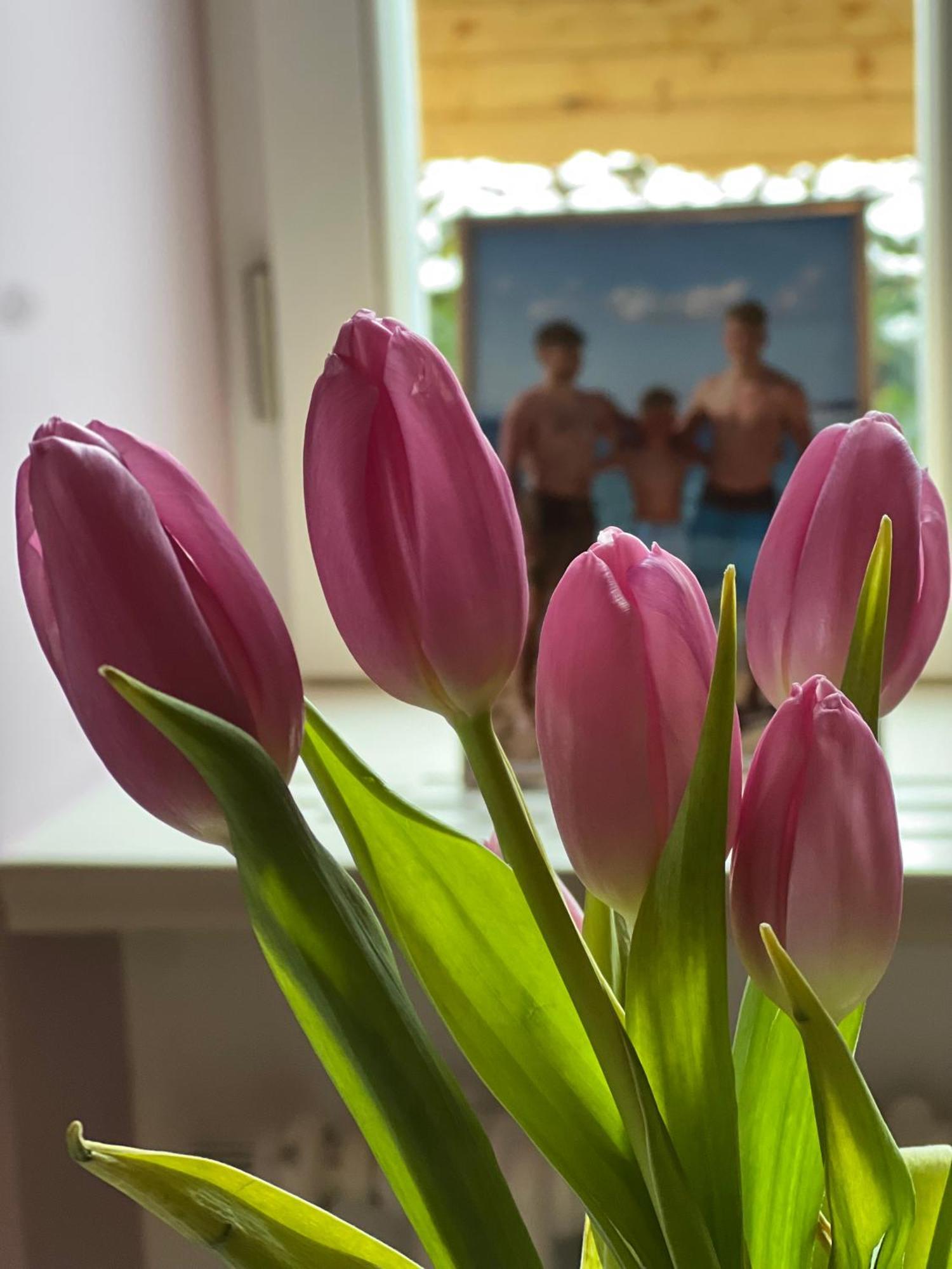 Vila Alice Bled - Adults Only Dış mekan fotoğraf