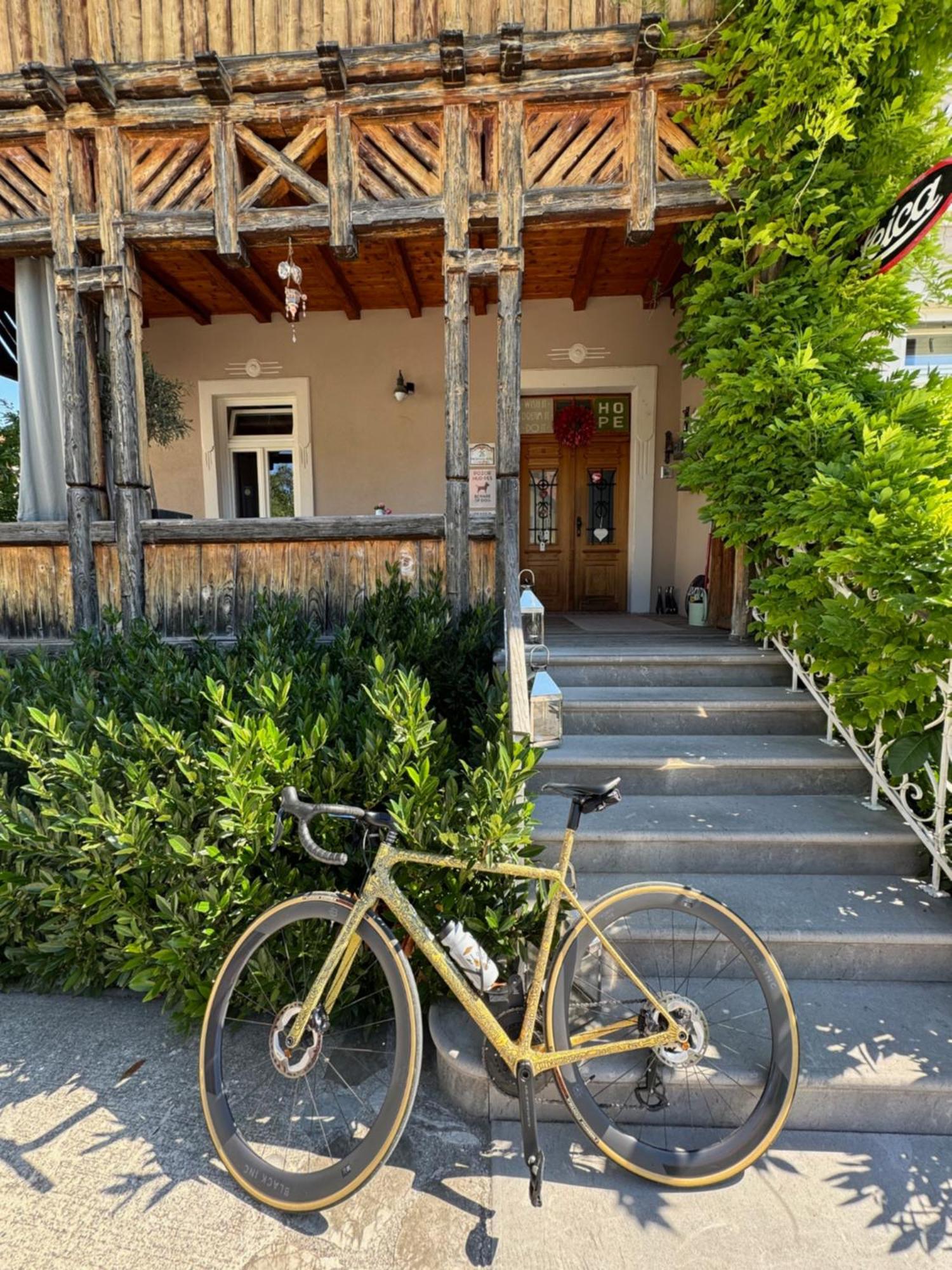 Vila Alice Bled - Adults Only Dış mekan fotoğraf